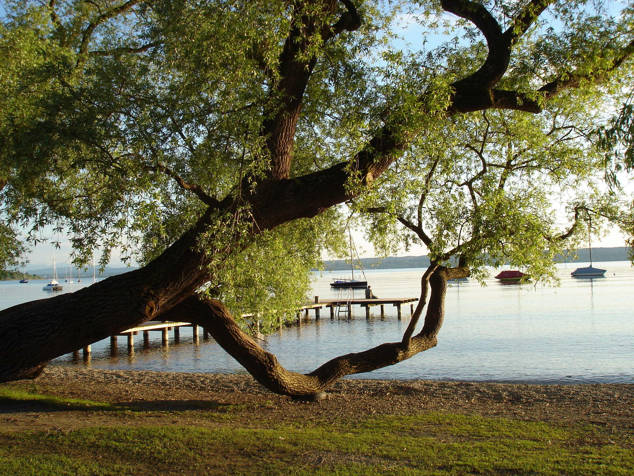 baum 2