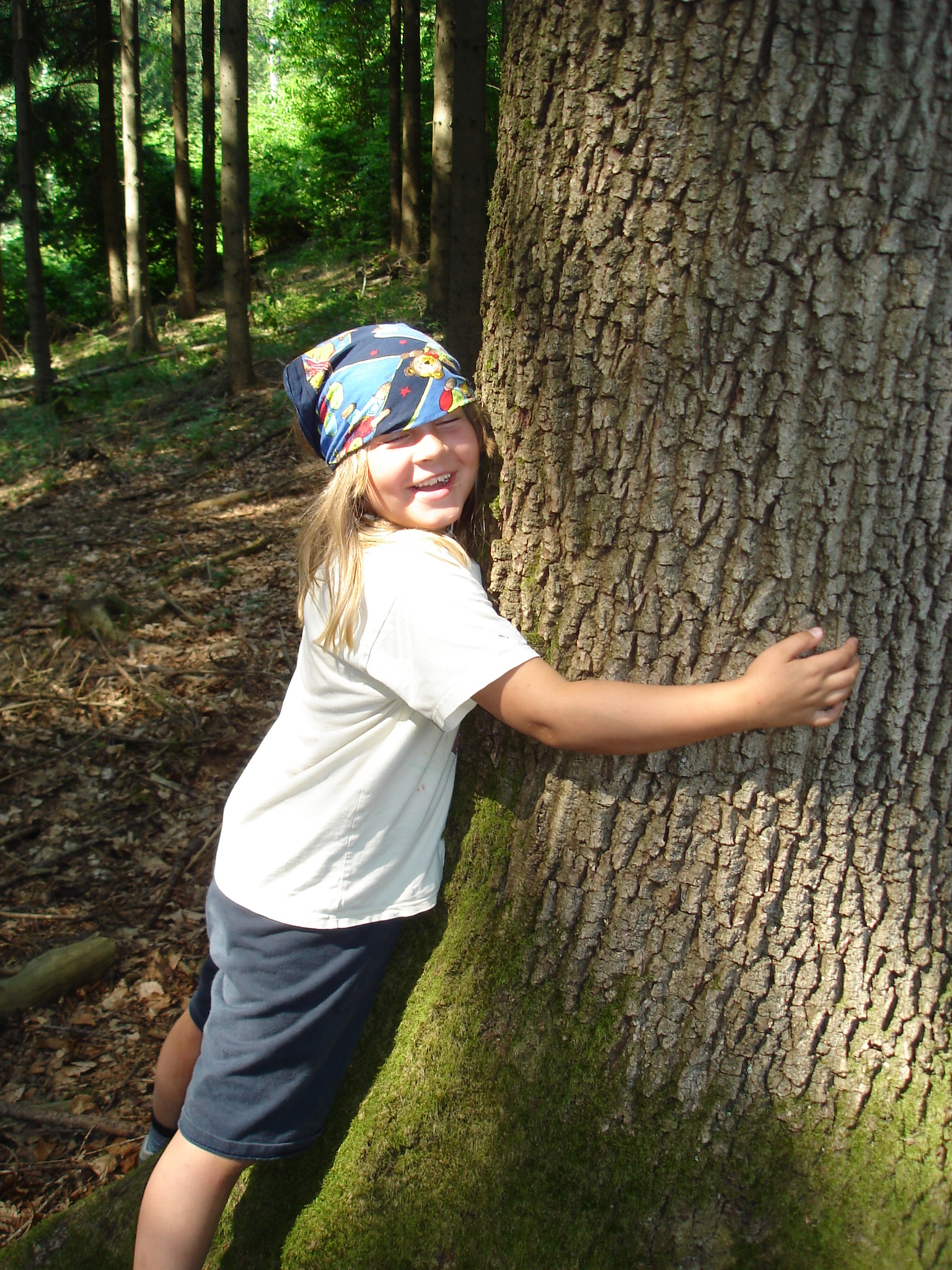 baum